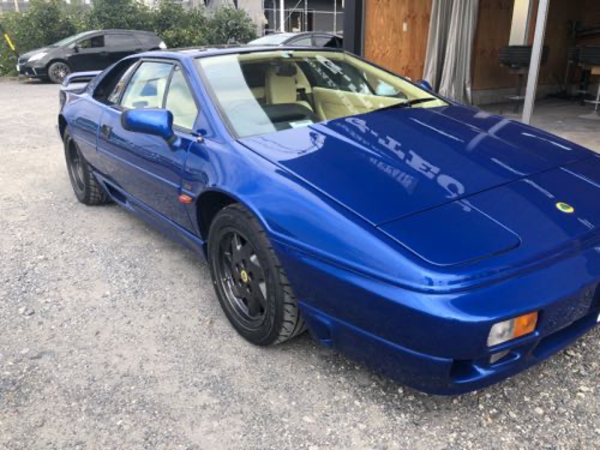 Lotus 純正アルミホイール ガンメタカラーチェンジ 施工写真 3